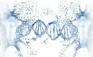 Illustration of a DNA double helix in water, representing cellular hydration